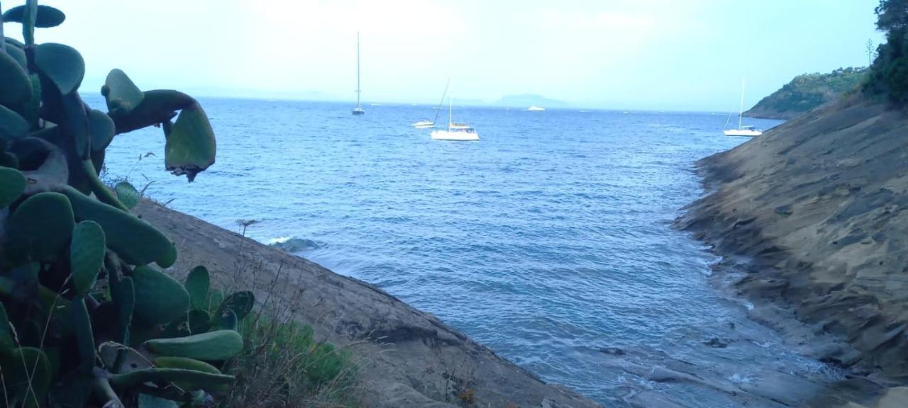 Casetta Furiana Appartamento Procida